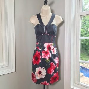 Anthropologie Sine Hollyhock Gray And Red Floral Sun Dress ~ Women’s 6